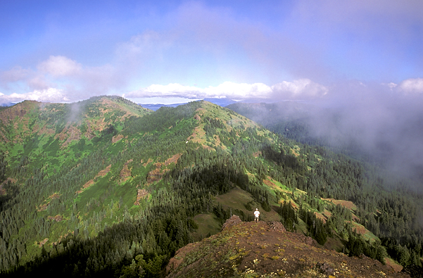 Cone Peak in the Willamette National Forest (photo by James Johnston).