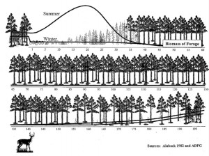 Black Tail Winter Habitat Graphic