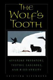 THe Wolf's Tooth