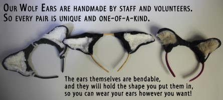 wolf_ears_group_words