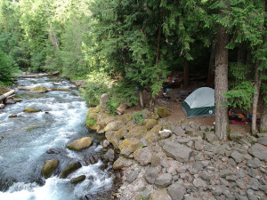 The Loafer timber sale would log native forests just above the headwaters of the North Umpqua River (photo by Francis Eatherington)