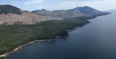 Whole mountains and valleys are being clearcut on Cleveland Peninsula.