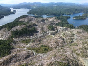 Alaska Mental Health Trust logging on Prince of Wales Island. 