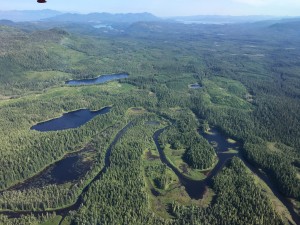 On the chopping block. Looking northeast at Snakes Lakes, North Thorne River, Prince of Wales Island, Alaska.