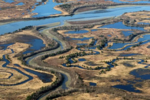 The 700,000-acre Copper River Delta is the largest contiguous wetland on the Pacific Coast of North America.