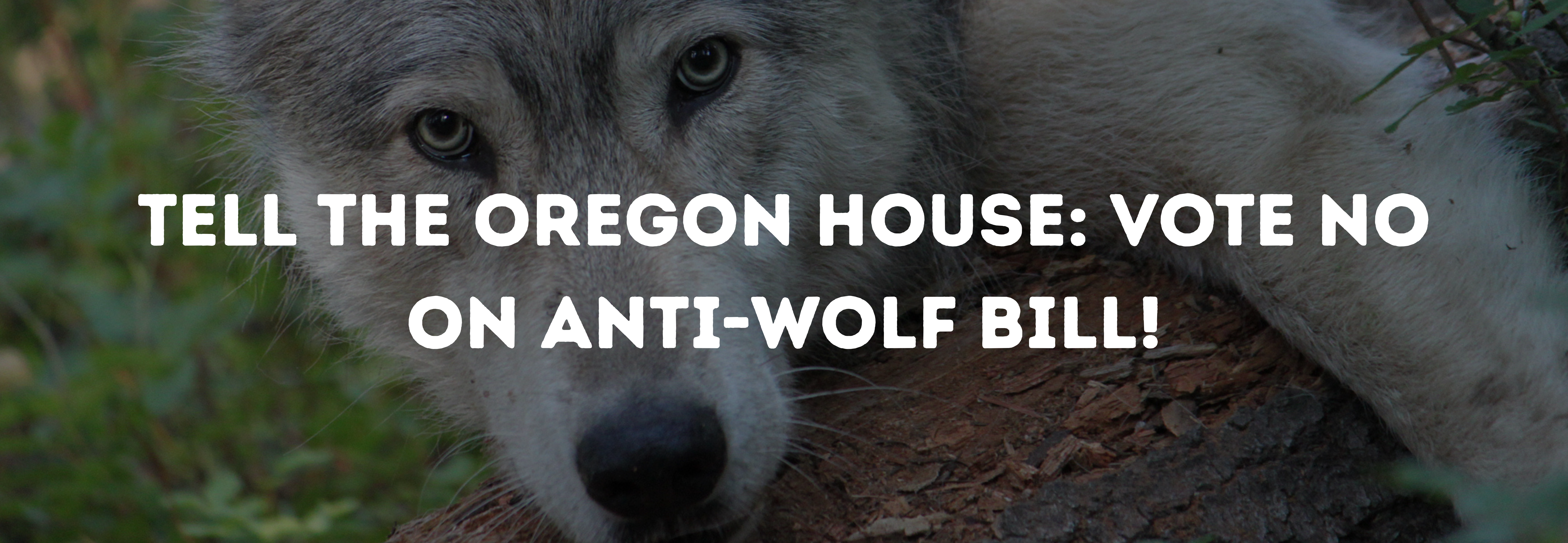 Slider reads: Tell the Oregon House -- Vote No on Anti-Wolf Bill