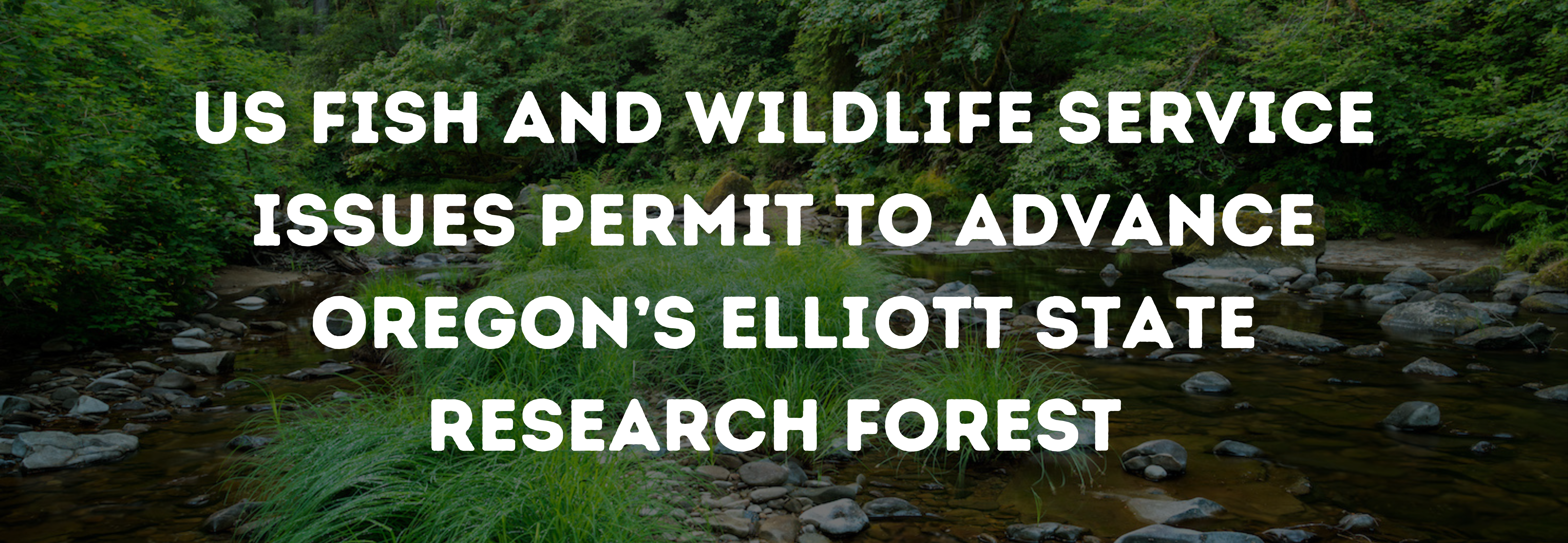 US Fish and Wildlife Service Issues Permit to Advance Oregon’s Elliott State Research Forest laid overtop an image by Tim Giraudier.
