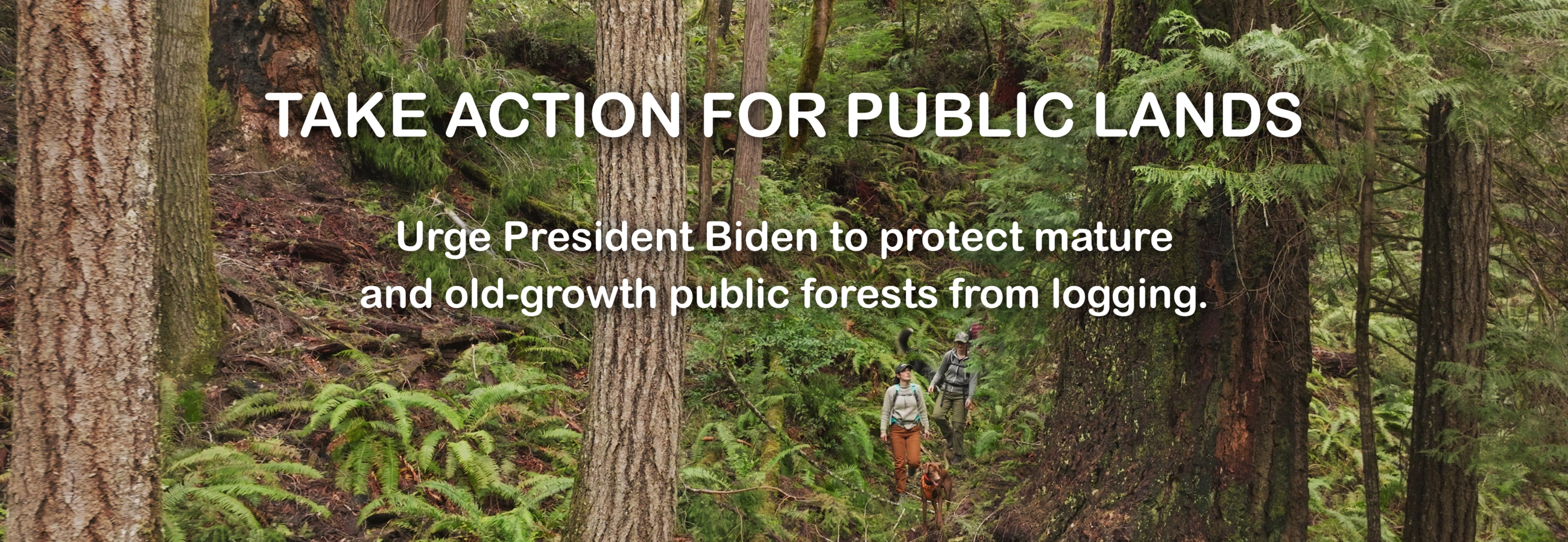 SLIDER_Protect MOG Public Lands