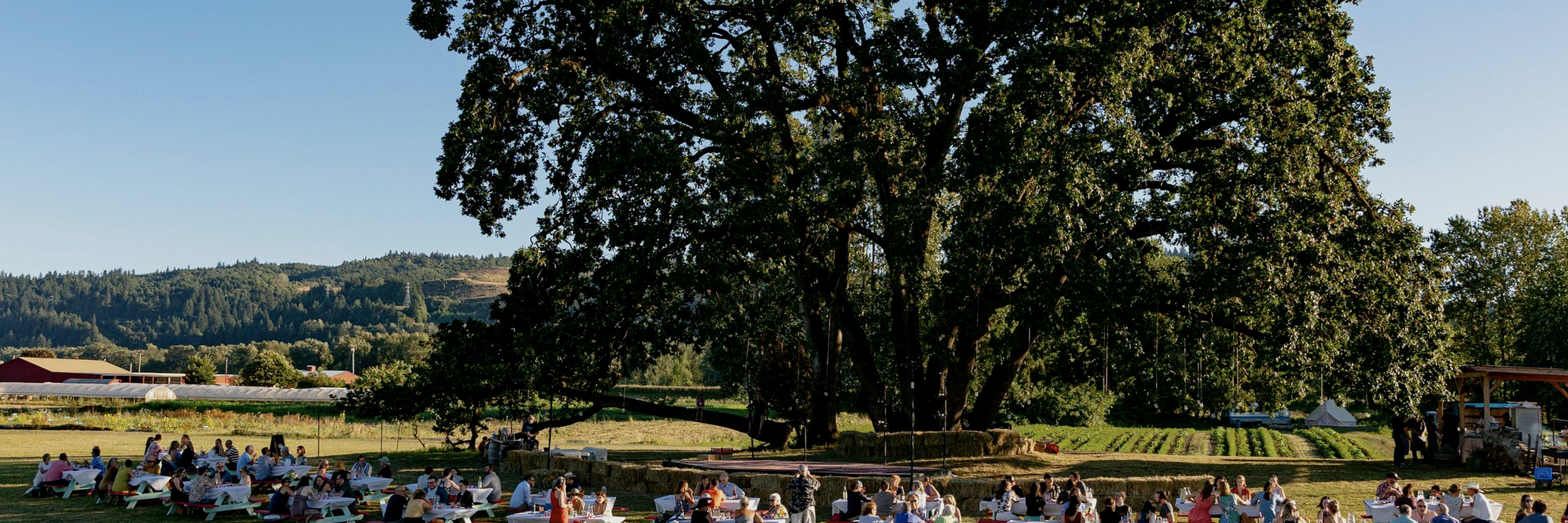 Topaz Farm 2 – Farm to Table diners under their historic oak tree