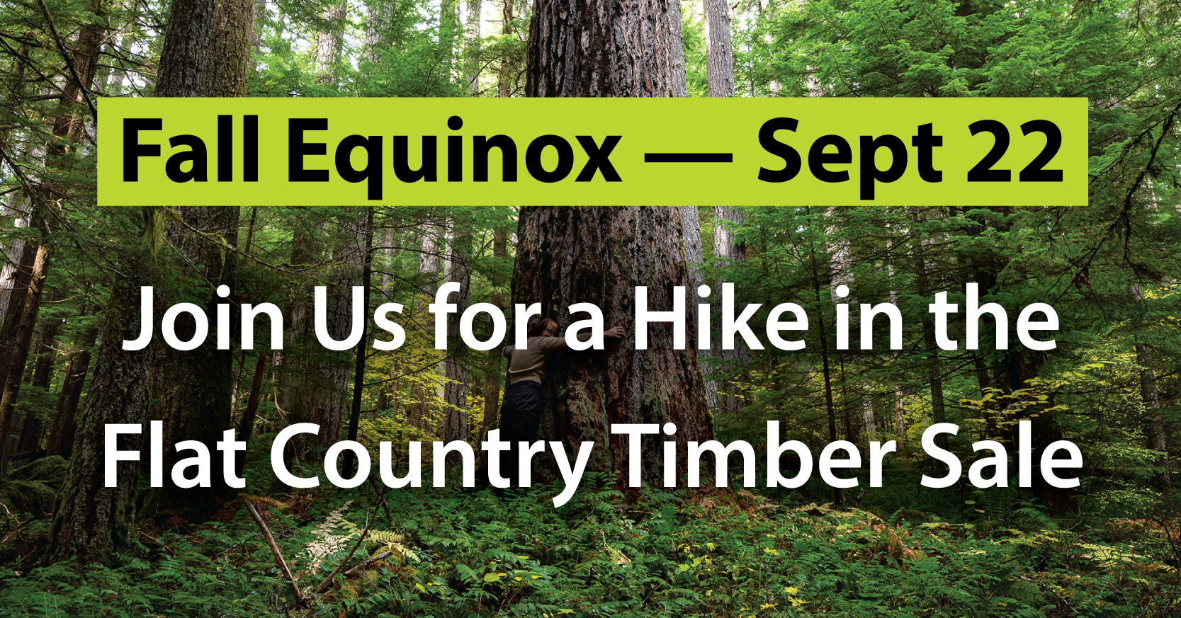Join Us for a Fall Equinox Hike in the Flat Country Timber Sale — Thurs. Sept 22, 2022
