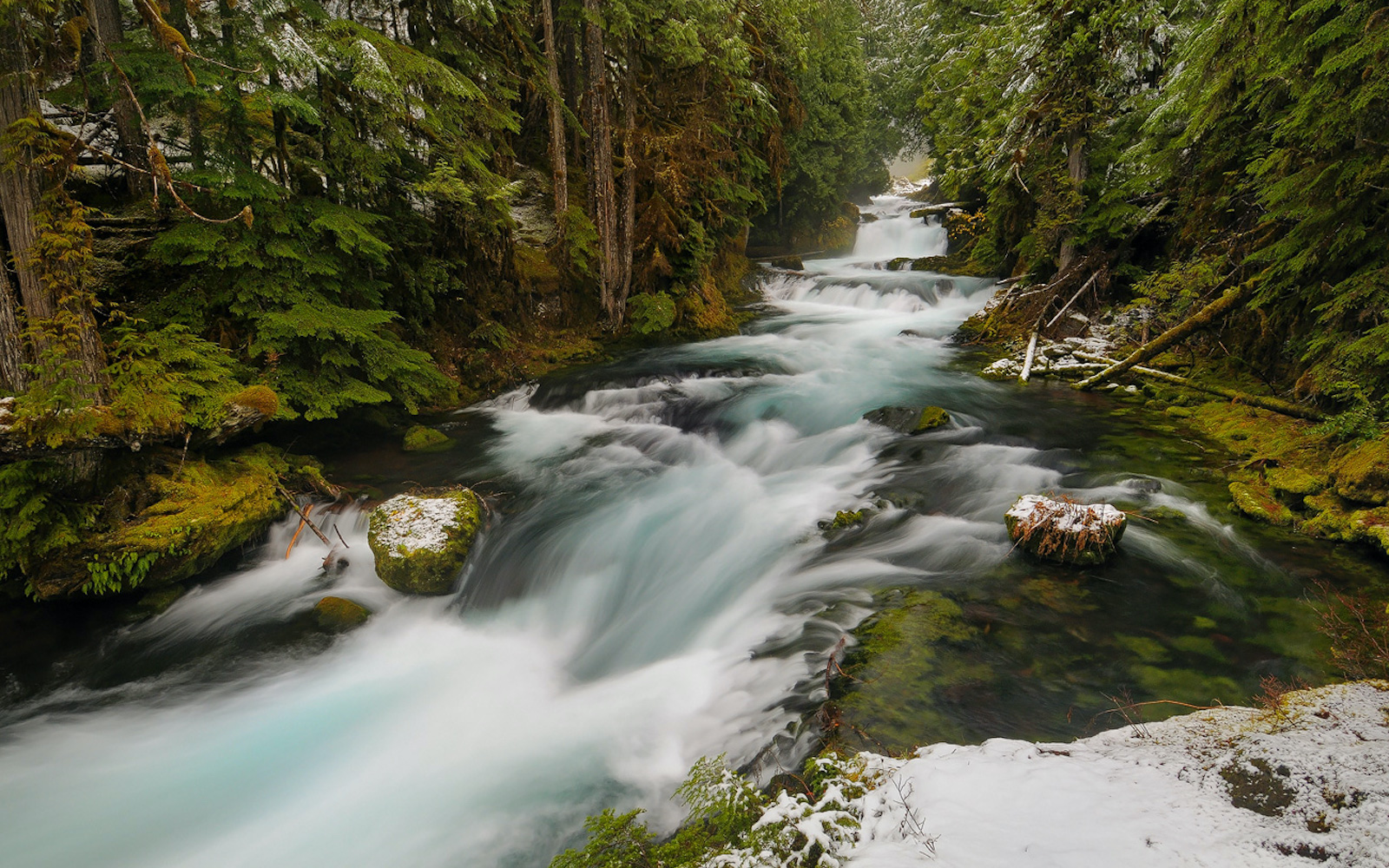 Press Release: Eugene Water and Electric Board’s Unanimously Votes to Decommission Leaburg Hydroelectric Project on the McKenzie River