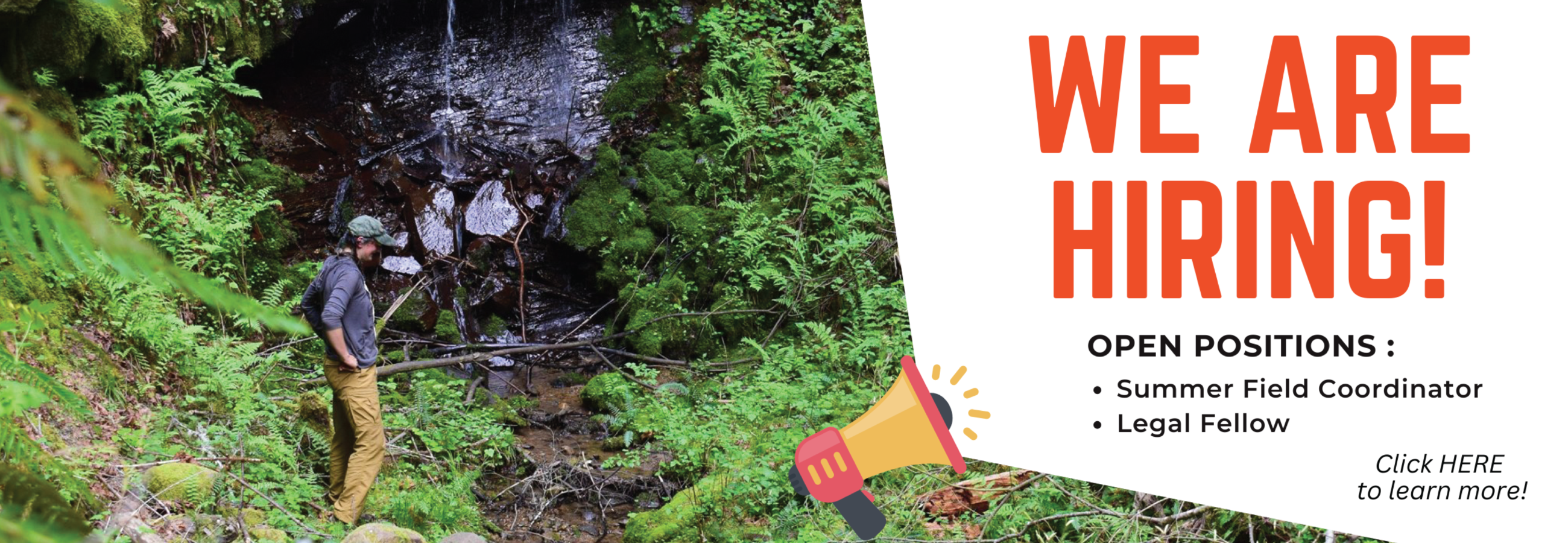 Cascadia Wildlands is Hiring a Summer Field Coordinator and Legal Fellow; job; job opportunity; employment; work