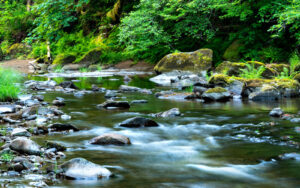 River in the Elliot State Research Forest