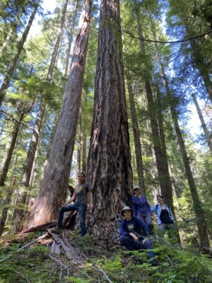 Field Checking the Divide Timber sale during Basecamp 2024.