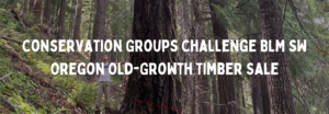 A man stands by a tall tree. Text is overlaid that reads: "Conservation Groups Challenge BLM SW Oregon Old-Growth Timber Sale.