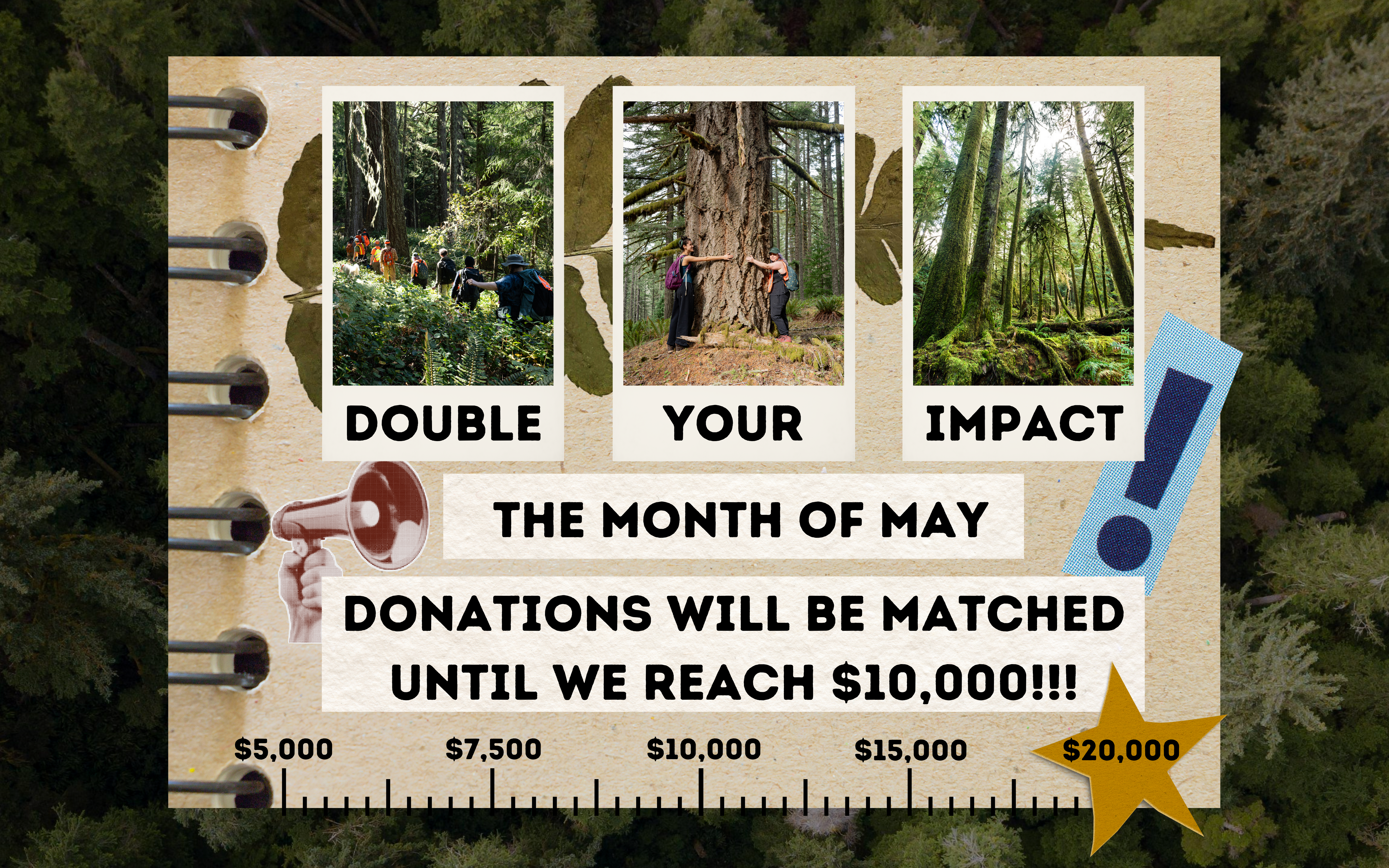Promotional image encouraging donations in May, highlighting matched contributions until $10,000 is reached. An image of treetops is the background image. The graphic is a motif of an aged notebook with scrapbooked images.
